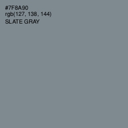 #7F8A90 - Slate Gray Color Image